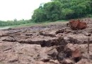 Apesar do alto volume de chuvas em dezembro, SC tem 5% dos municípios em atenção para seca