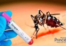 Confirmado primeiro caso de dengue