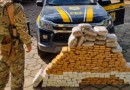Em 36 horas, PRF apreende mais de 660 kg de maconha em rodovias catarinenses