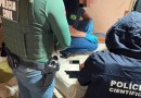 Gaeco faz operação contra suspeito de armazenar imagens de abuso sexual infantil em SC