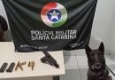 Homem é preso por porte ilegal de arma de fogo de uso restrito