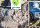 BPFRON apreende caminhão carregado com recicláveis irregulares vindos da Argentina
