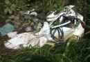 Homem de 27 anos morre em acidente em Nova Erechim