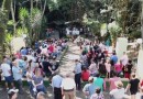 Tradicional Cavalgada à Santa Emília acontece na próxima semana
