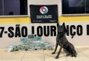 Polícia apreende mais de 30 kg de crack em caminhão na SC-157