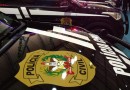 Oito pessoas são presas suspeitas de organizar encontro neonazista em SC