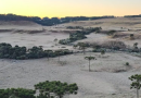 SC enfrenta mais um dia de onda de frio com geada e termômetros em -7°C