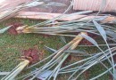 Praça pública do município é vandalizada na madrugada desta segunda-feira (03)