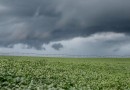Estado e municípios levantam os efeitos da chuva nas lavouras e estradas rurais
