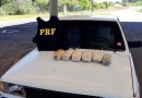 Menores são apreendidos com drogas na BR-282