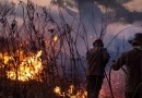 MT e MS somam quase 4 mil focos de incêndio em novembro
