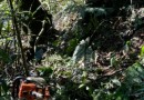 Idoso é encontrado morto numa ribanceira no interior de Caibi
