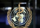 OMS quer desenvolver vacinas de RNA mensageiro para gripe aviária com farmacêutica argentina