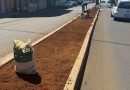 Administração municipal e Secretaria de Obras preparam canteiros para plantio de gramas