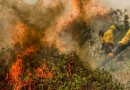 Fogo já consumiu 1,3 milhão de hectares e volta a aumentar no Pantanal