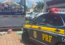 PRF faz maior apreensão do ano no Paraná: 5,5 toneladas de maconha