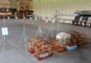 Torneio com pássaros de até R$ 50 mil termina em corre-corre, fuga e apreensão de aves em SC