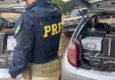 PRF apreende carga de vinhos importados ilegalmente