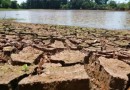 Mundo deve exceder limite climático de 1,5ºC até 2027, alertam especialistas