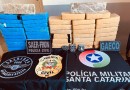 Operação policial apreende grande quantidade de drogas e prende quatro pessoas