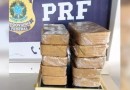 PRF apreende R$ 1,2 milhão em cocaína durante fiscalização na BR-101
