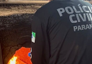 PCPR incinera mais de 10 quilos de drogas
