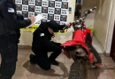 Moto é apreendida após adolescente ser flagrado dando “pipocos” no escapamento