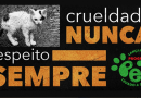 Programa estadual de castração animal será lançado pelo Governo de Santa Catarina nesta quarta-feira (30)