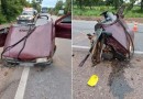 Duas crianças morrem e carro é partido ao meio após motorista desviar de tamanduá em rodovia