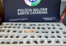 Adolescente é flagrado com droga em Chapecó