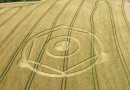 Agroglifo aparece novamente em plantação de trigo no Oeste