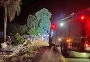 Carreta sai da pista após falha nos freios e motorista fica ferido na SC-161