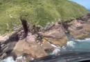 Homem morre após cair de costão de 15 metros em Florianópolis