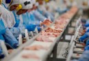 Exportação brasileira de carne suína cresce 17,8% em novembro