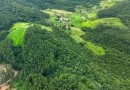 SC divulga abertura de inscrição no programa Mais Verde