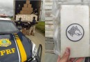FICCO/SC apreende 1,3 tonelada de drogas em caminhão na BR-101 em SC