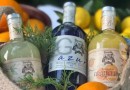 Gins e licores produzidos em SC conquistam cinco prêmios em Londres