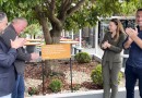 Cresol Evolução e Prefeitura revitalizam praça da Travessa Herondi Maran em parceria