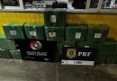Jovem de 23 anos é preso com 330 kg de maconha em Água Doce