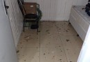 Homem encontra casa arrombada e tem televisão furtada