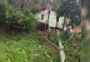 Chuva causa transtornos no Oeste de SC: destelhamentos, queda de árvores e morte de animais
