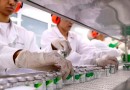 Produção industrial tem queda de 0,3% em janeiro, diz IBGE