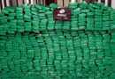 Apreensões de maconha nas rodovias estaduais ultrapassa 7,6 toneladas em 2024