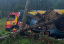 Motorista fica em estado grave após capotar e bater carro em árvore na SC-464