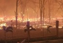 Brasil concentra 76% dos incêndios na América do Sul