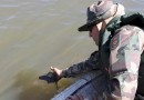 Polícia Militar Ambiental alerta para aumento de fiscalização no início da Piracema