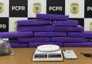 Ponto de distribuição de drogas é desbaratado pela policia no interior de Vitorino