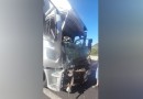 Homem de 64 anos fica ferido após colisão entre caminhões na BR-277