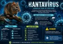 Paraná confirma dois casos de hantavírus e investiga outros 11 casos suspeitos