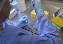 Nova variante da covid-19 é encontrada em SC e cientista alerta para maior risco de transmissão